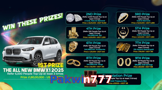 Pakwin777 interface sample