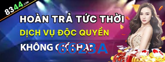 6623A